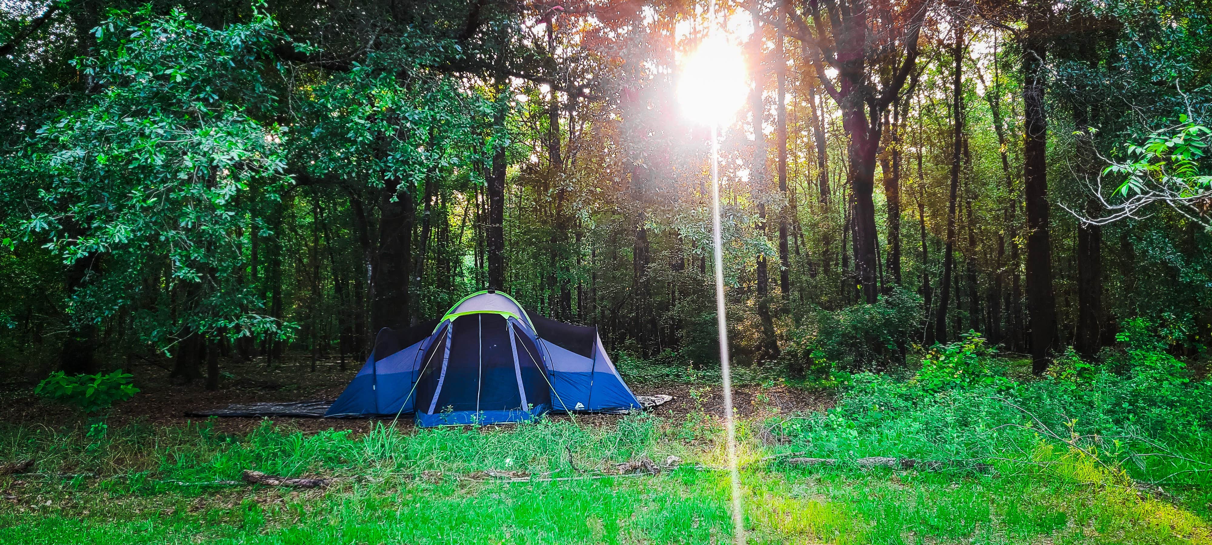 Farah J.'s photo of tent camping at Pecan Orchard Estate-Campground near Centerville, GA