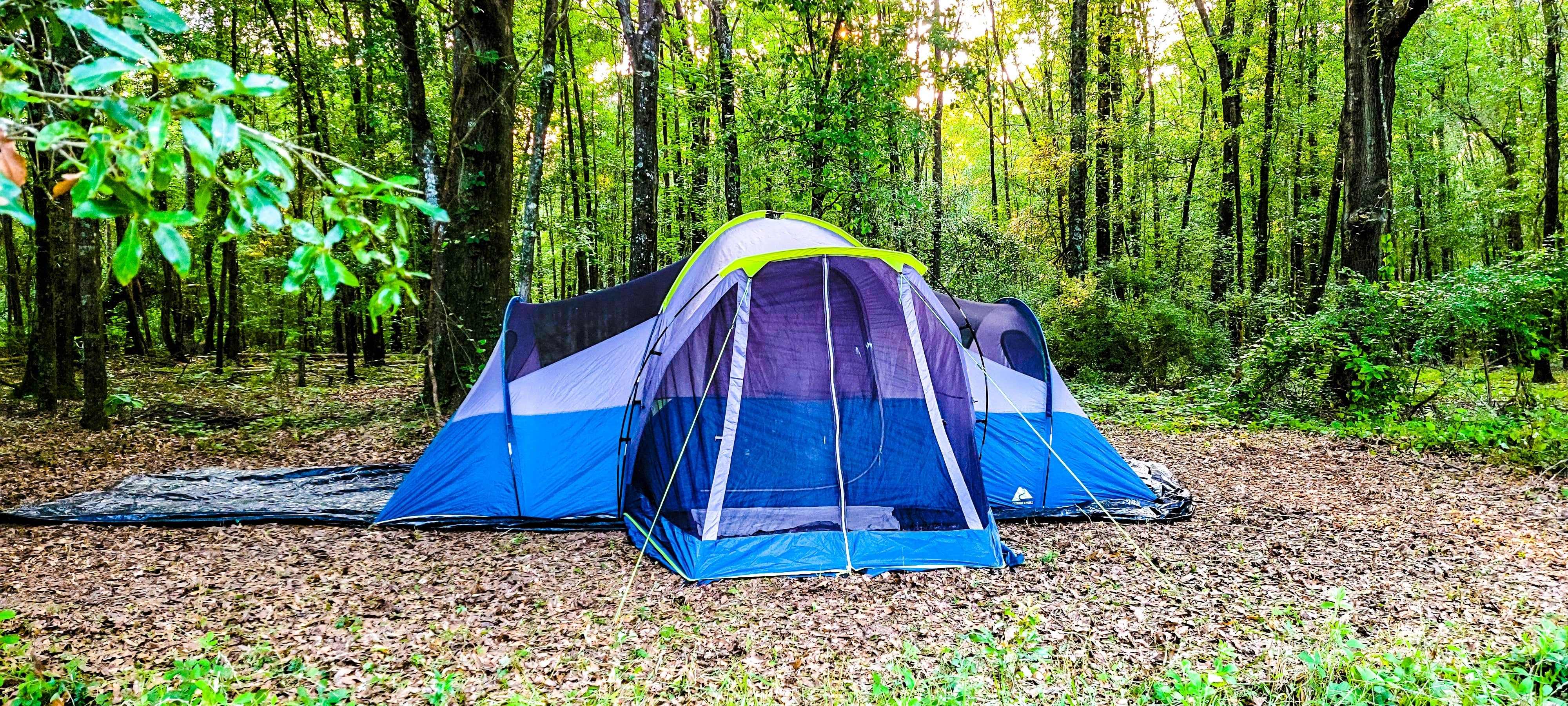 Camper-submitted photo at Pecan Orchard Estate-Campground near Centerville, GA