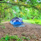 Review photo of Pecan Orchard Estate-Campground  by Farah J., June 8, 2023