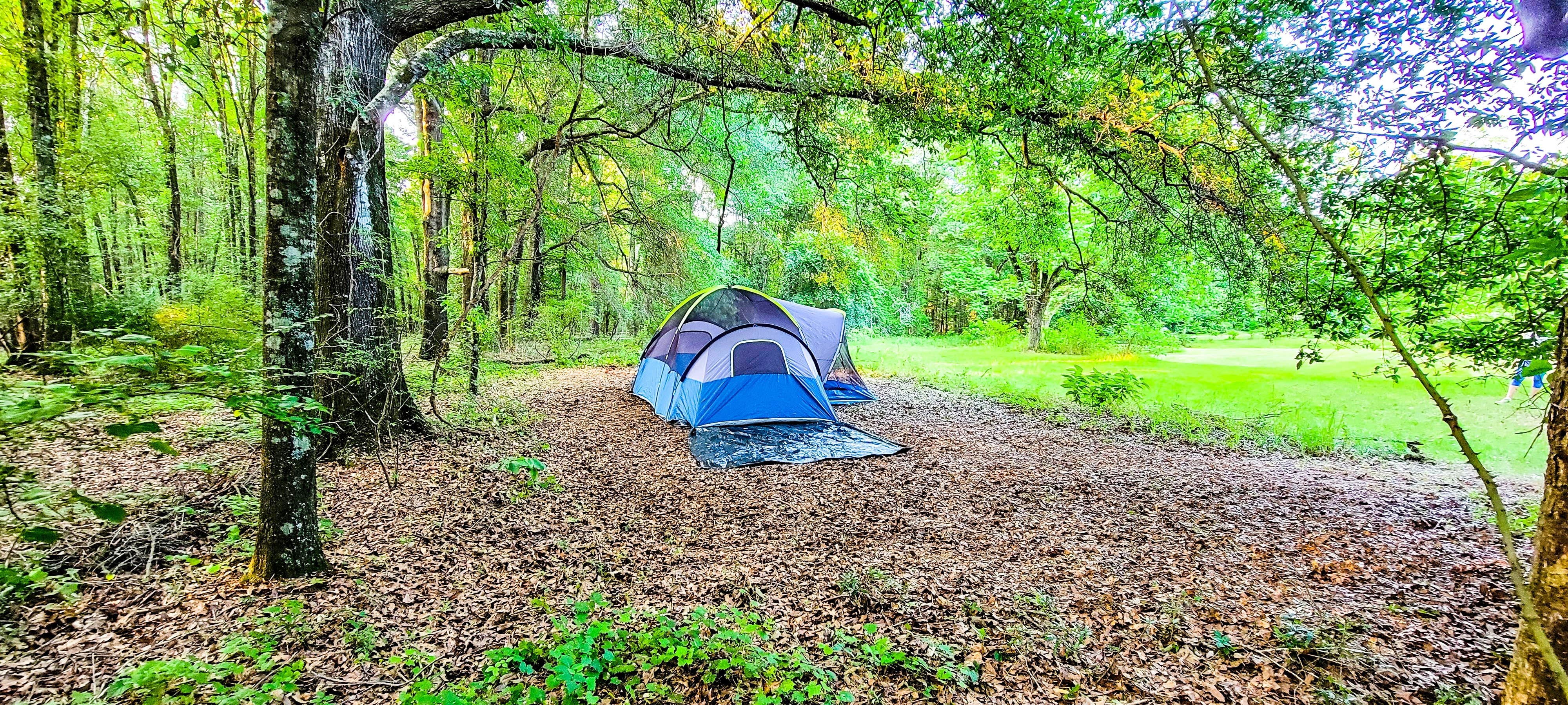 Camper submitted image from Pecan Orchard Estate-Campground - 4