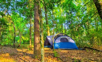 Camping near KOA Americus: Pecan Orchard Estate-Campground , Americus, Georgia