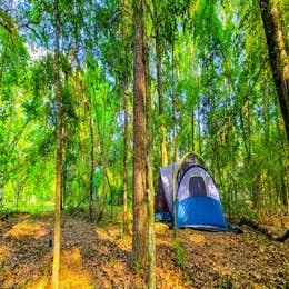 Pecan Orchard Estate-Campground