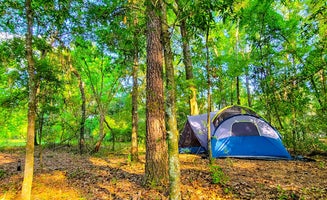 Camper-submitted photo from Pecan Orchard Estate-Campground 