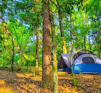 Camper-submitted photo from Pecan Orchard Estate-Campground 