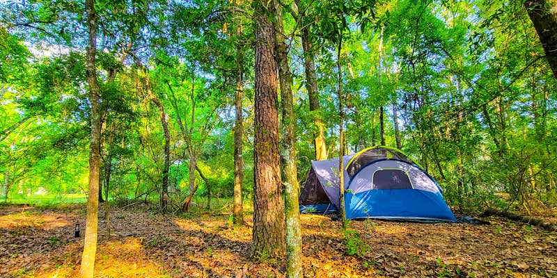 Camper submitted image from Pecan Orchard Estate-Campground