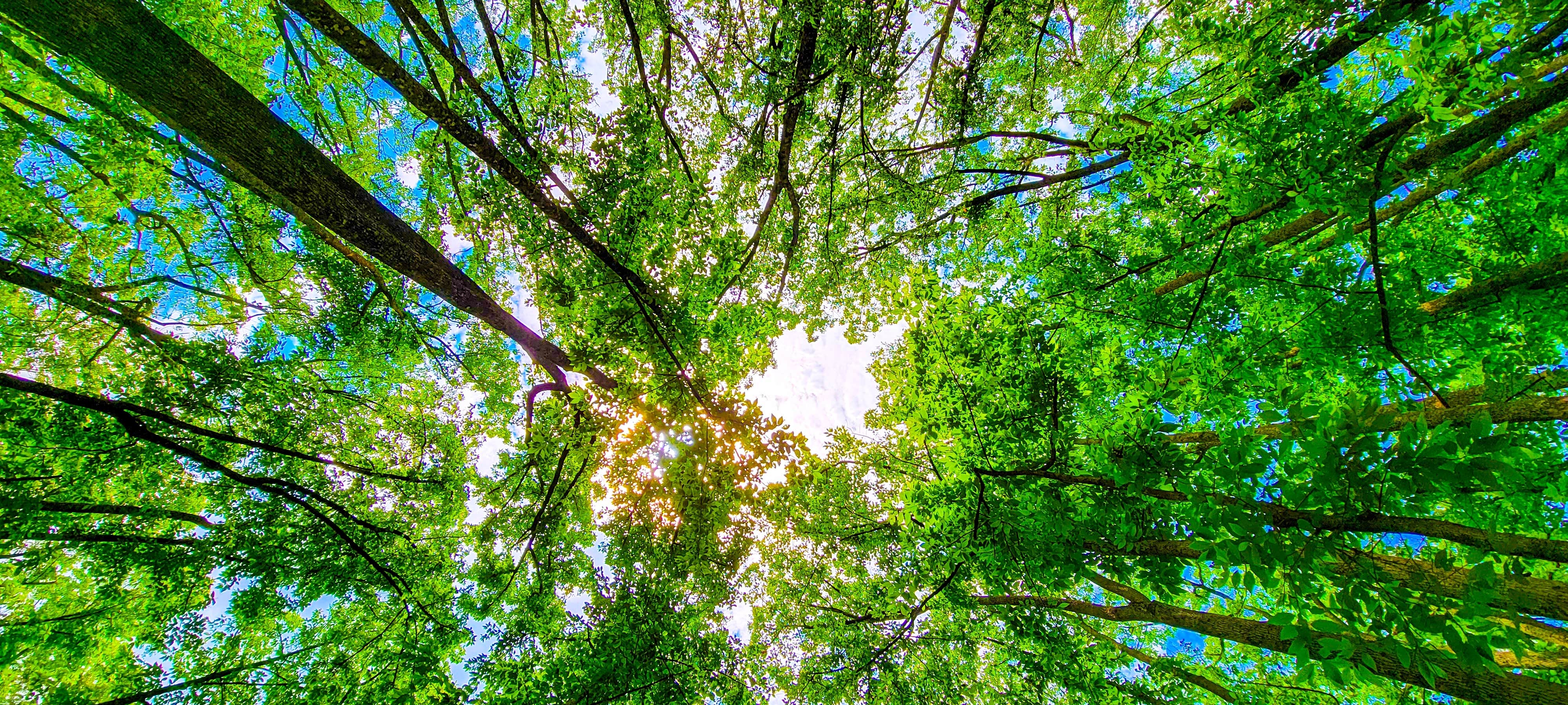 Camper-submitted photo at Pecan Orchard Estate-Campground near Centerville, GA