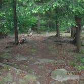 Review photo of Ricketts Glen State Park Campground by David B., June 8, 2023