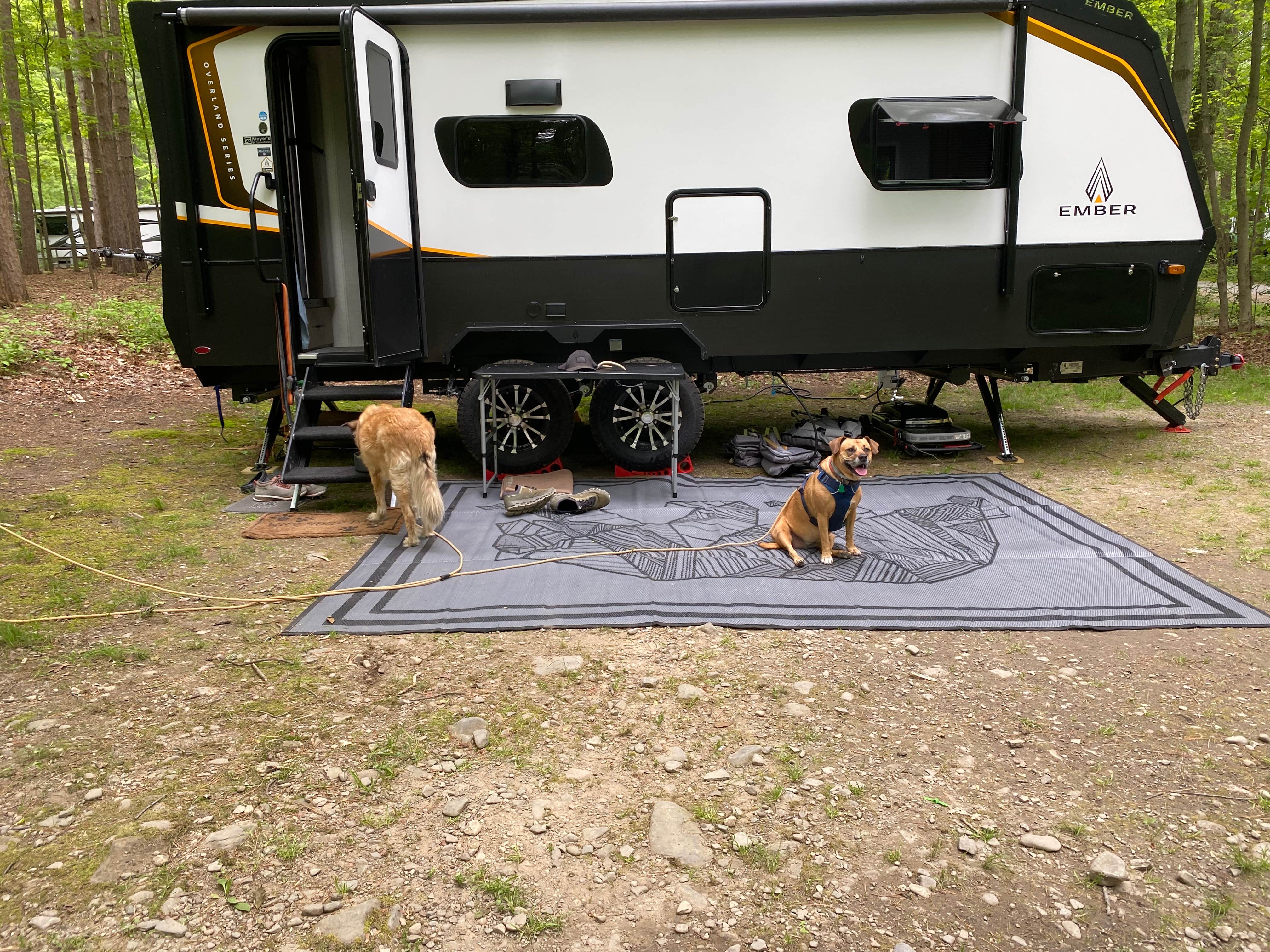 Taylor H.'s photo of camping with pets at Watkins Glen State Park Campground near Tioga-Hammond Lakes