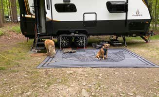 Taylor H.'s photo of camping with pets at Watkins Glen State Park Campground near Tioga-Hammond Lakes