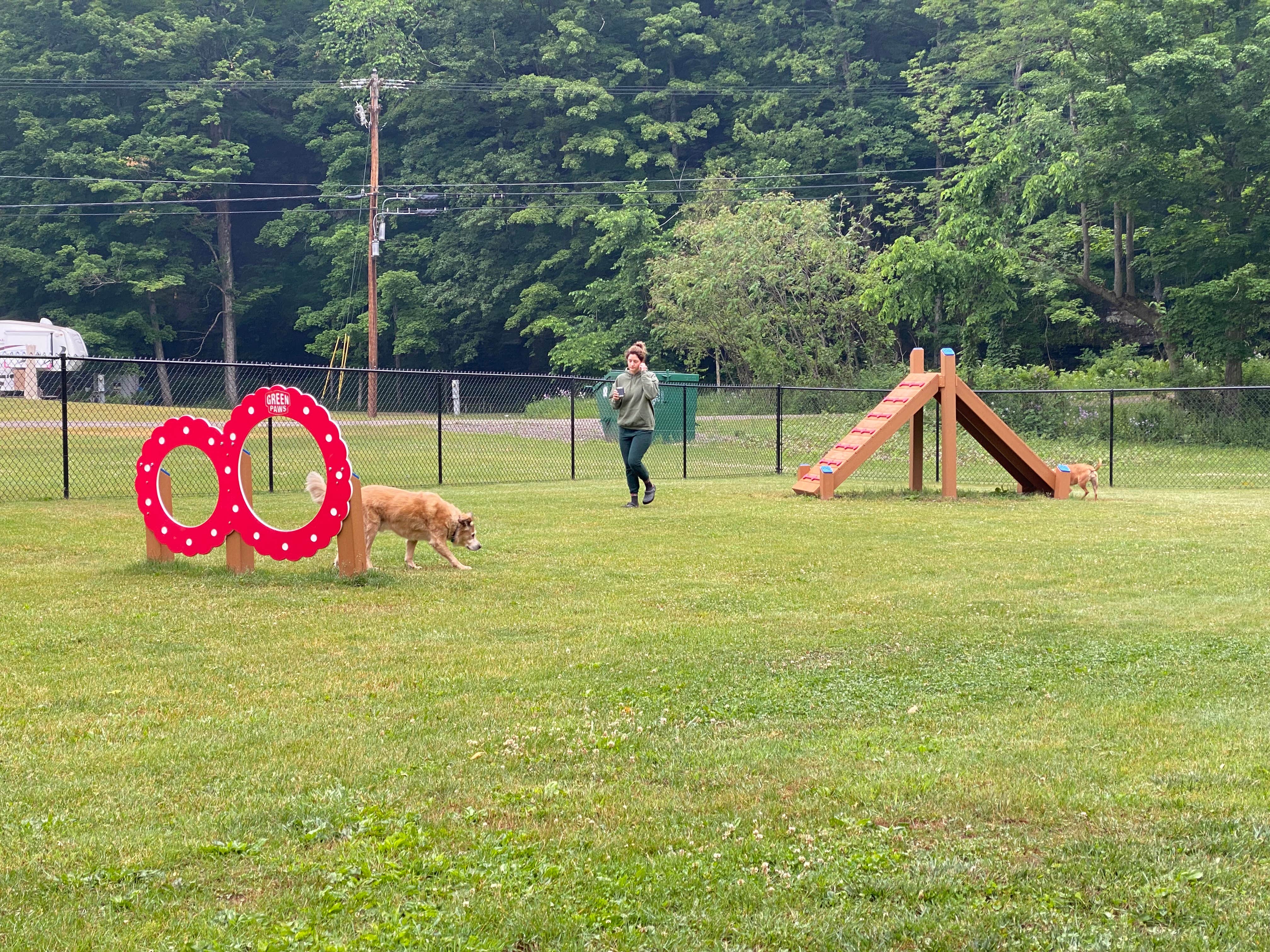 Camper-submitted photo at Nickerson Park Campground near Ashland, NY
