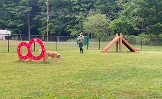 Taylor H.'s photo of camping with pets at Nickerson Park Campground near Roxbury, NY