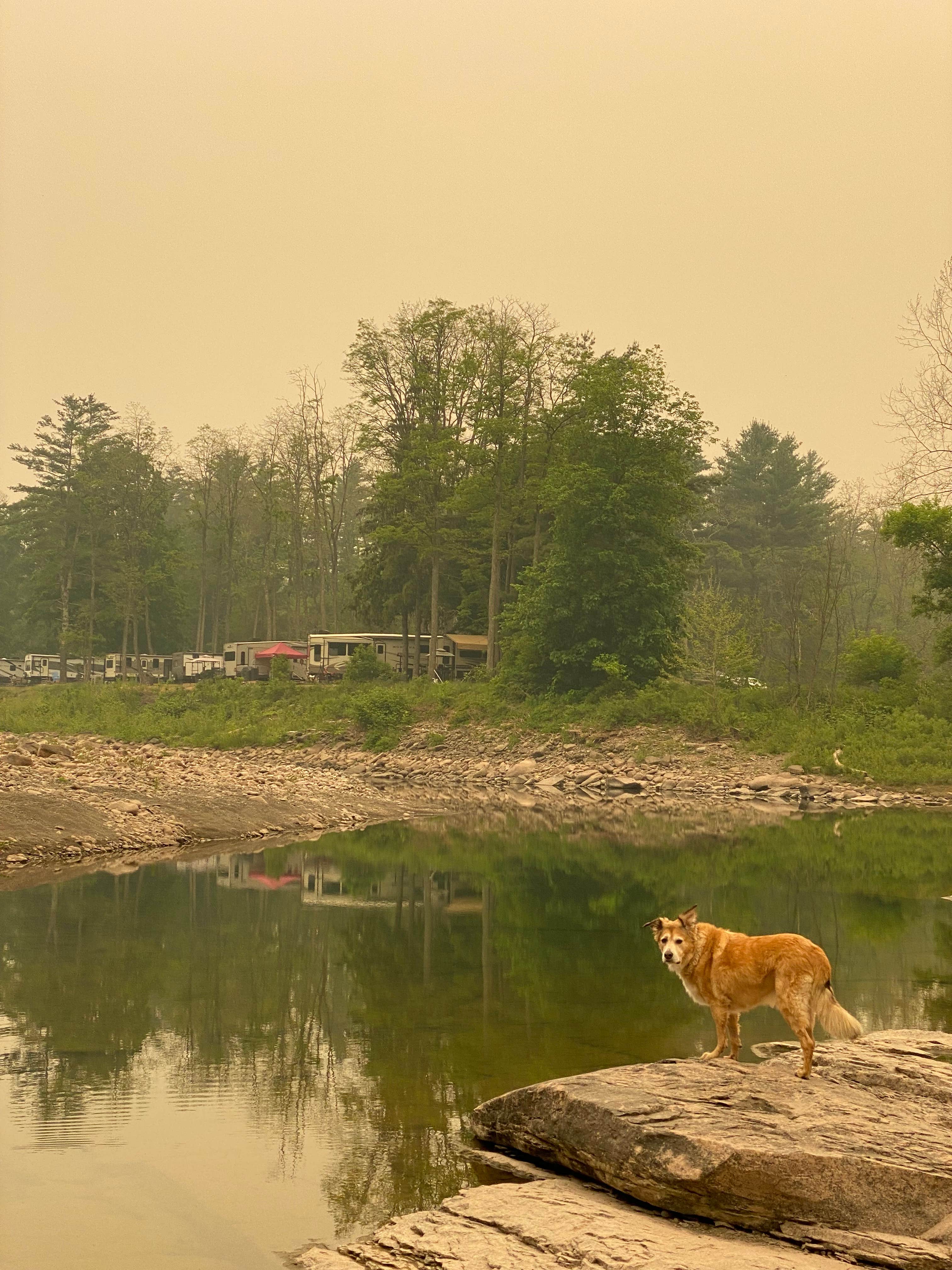 Camper-submitted photo at Nickerson Park Campground near Ashland, NY