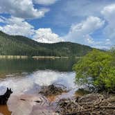 Review photo of Lake Siskiyou Camp Resort by Robert W., June 9, 2023