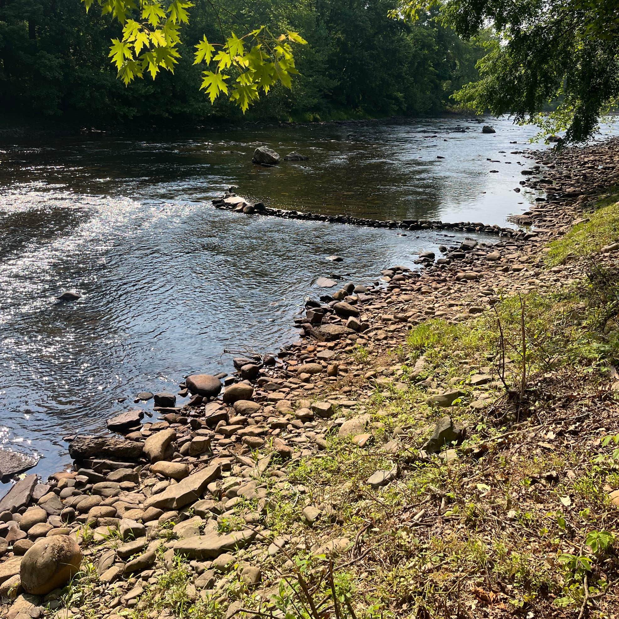 Five Rivers Campground Map.pdf Five River Campground | Parsons, West Virginia