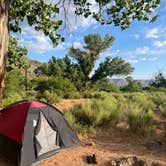 Review photo of Kolob Terrace Road Dispersed by Ryan S., June 9, 2023