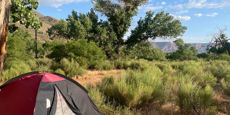 Camper submitted image from Kolob Terrace Road Dispersed