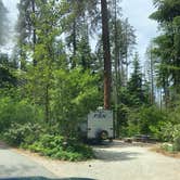 Review photo of Lake Wenatchee State Park Campground by Justin C., June 9, 2023