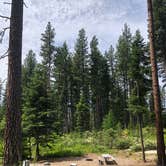 Review photo of Lake Wenatchee State Park Campground by Justin C., June 9, 2023