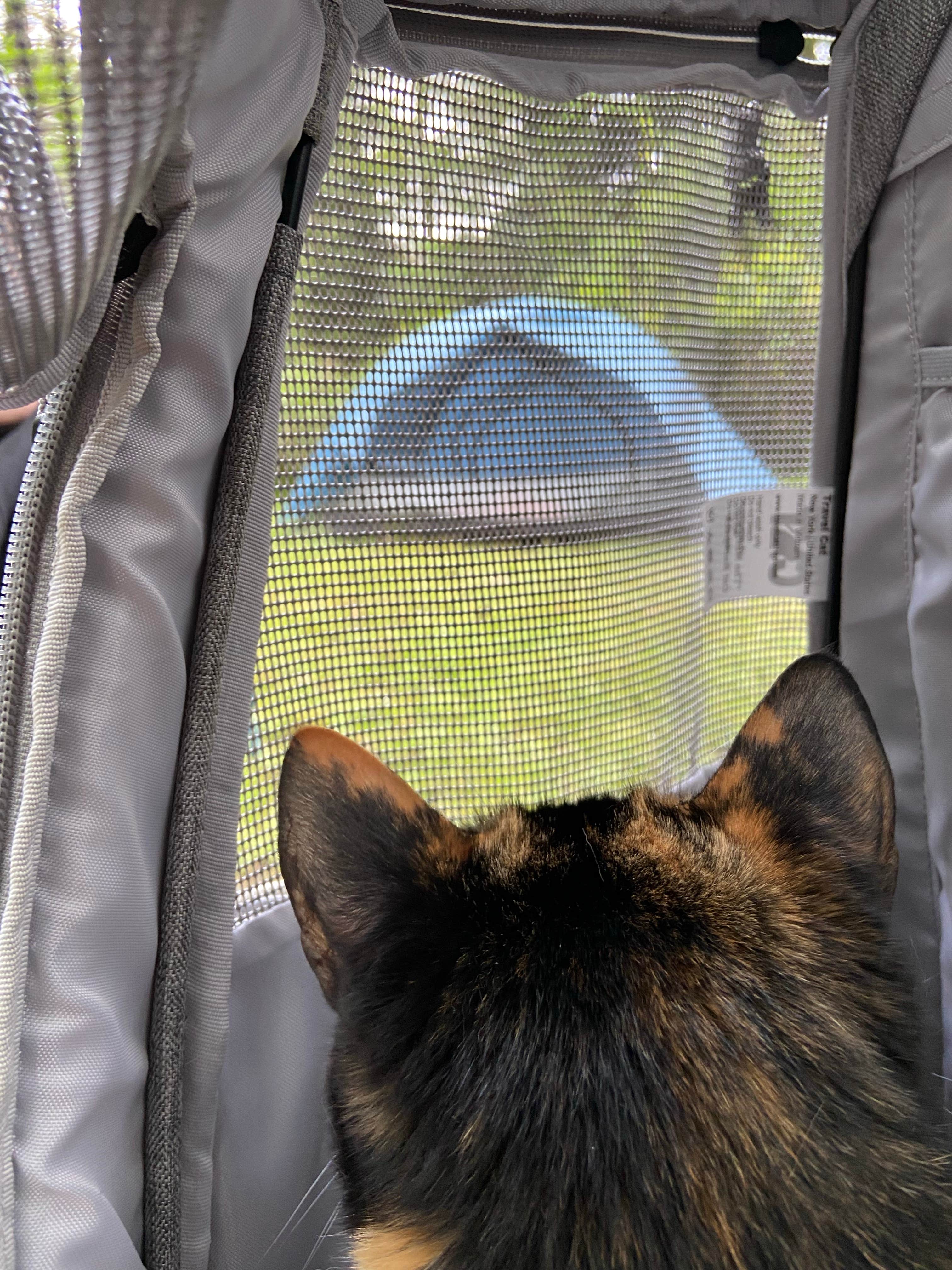 Benjamin W.'s photo of camping with pets at Devil’s Lake State Recreation Area Campground near Lincoln City, OR