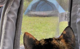 Benjamin W.'s photo of camping with pets at Devil’s Lake State Recreation Area Campground near Grand Ronde, OR