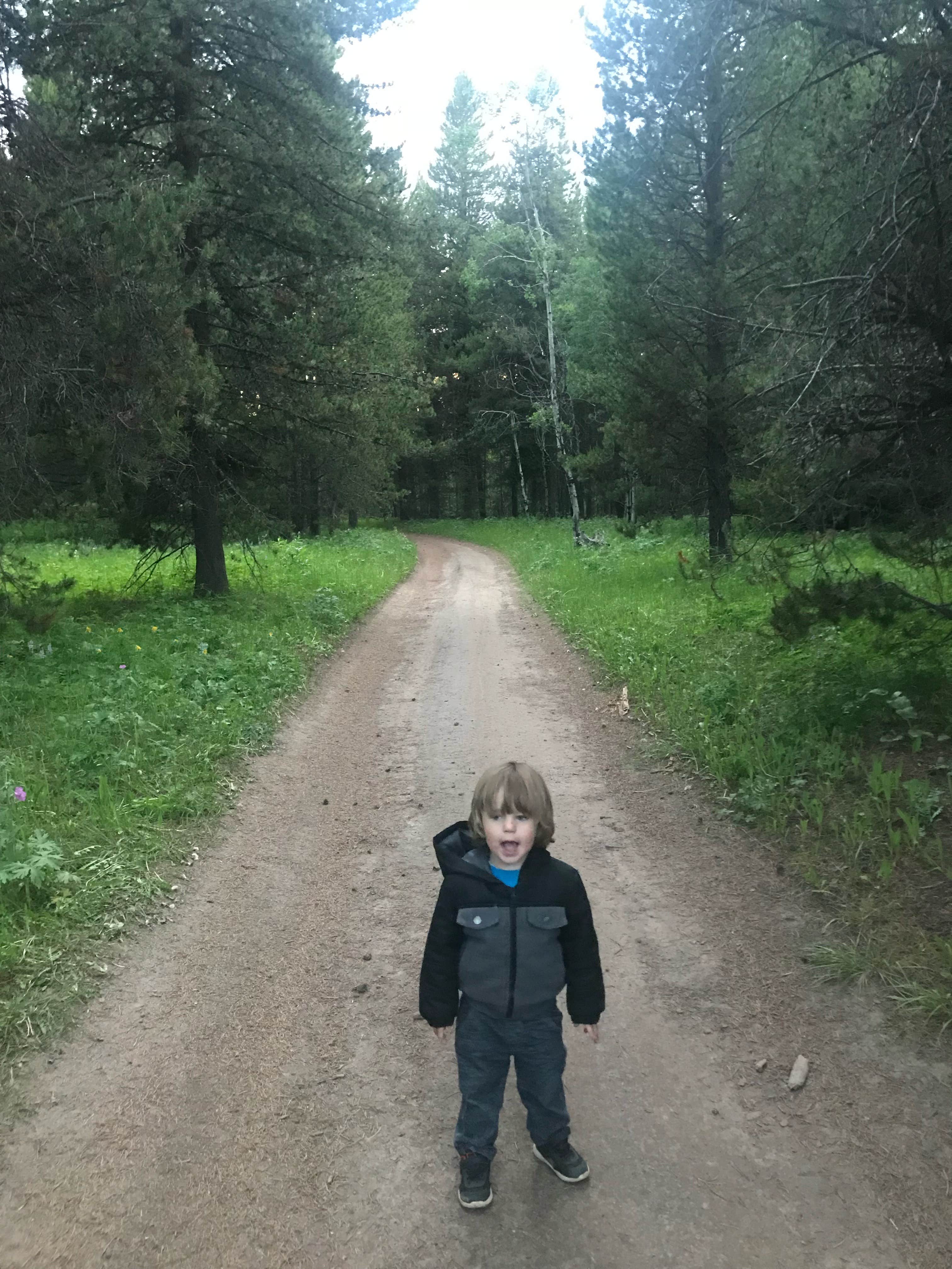 Camper-submitted photo at Bootjack Dispersed Camping near Island Park, ID