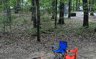Carol M.'s photo at Monte Sano State Park Campground near Harvest, AL