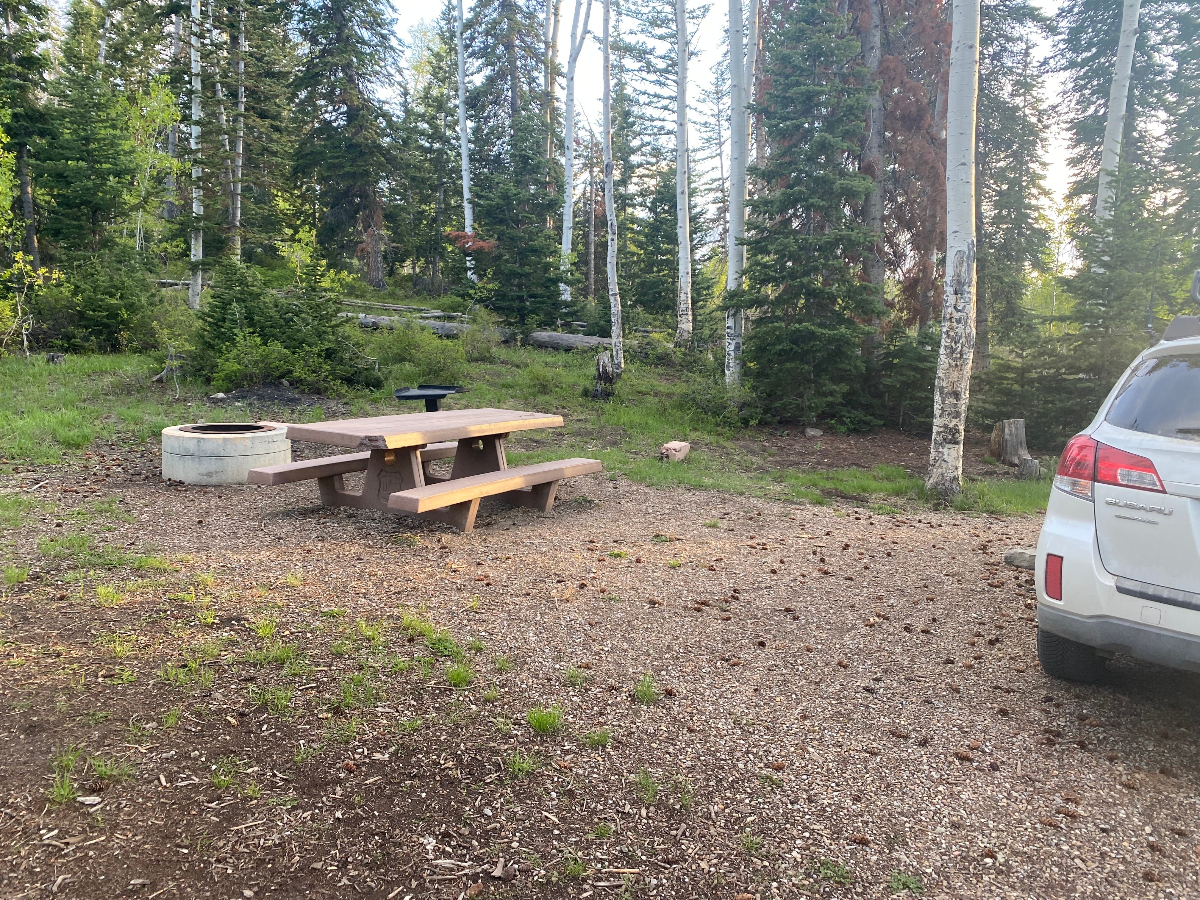 Camper submitted image from Avintaquin Campground - 5
