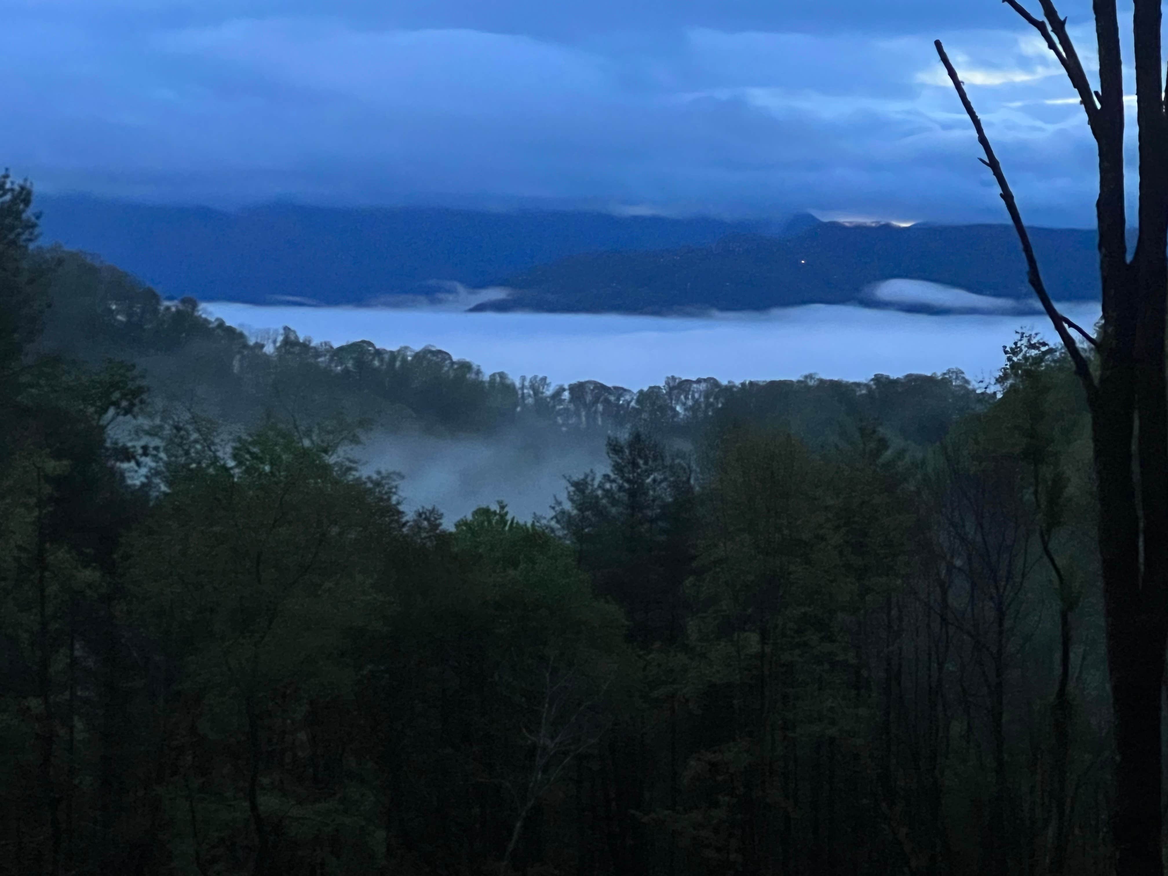 Camping near Natures Inn Hostel & Cabins: Waystone Camping Collective, Flag Pond, North Carolina