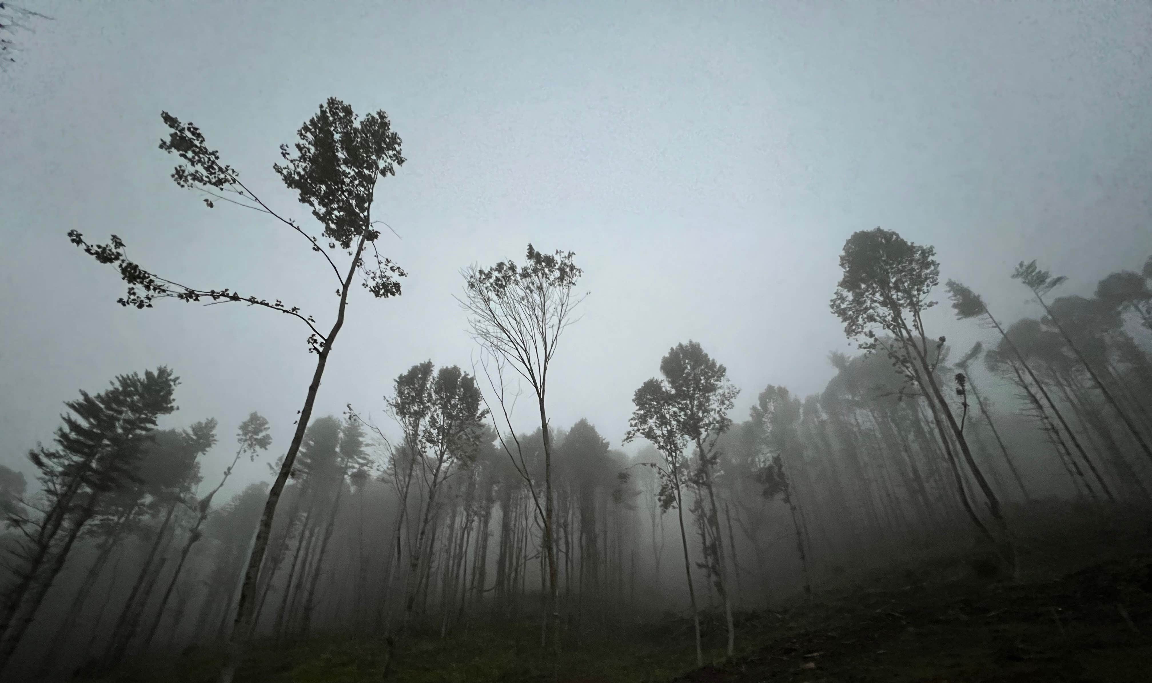 Camper-submitted photo at Waystone Camping Collective near Green Mountain, NC