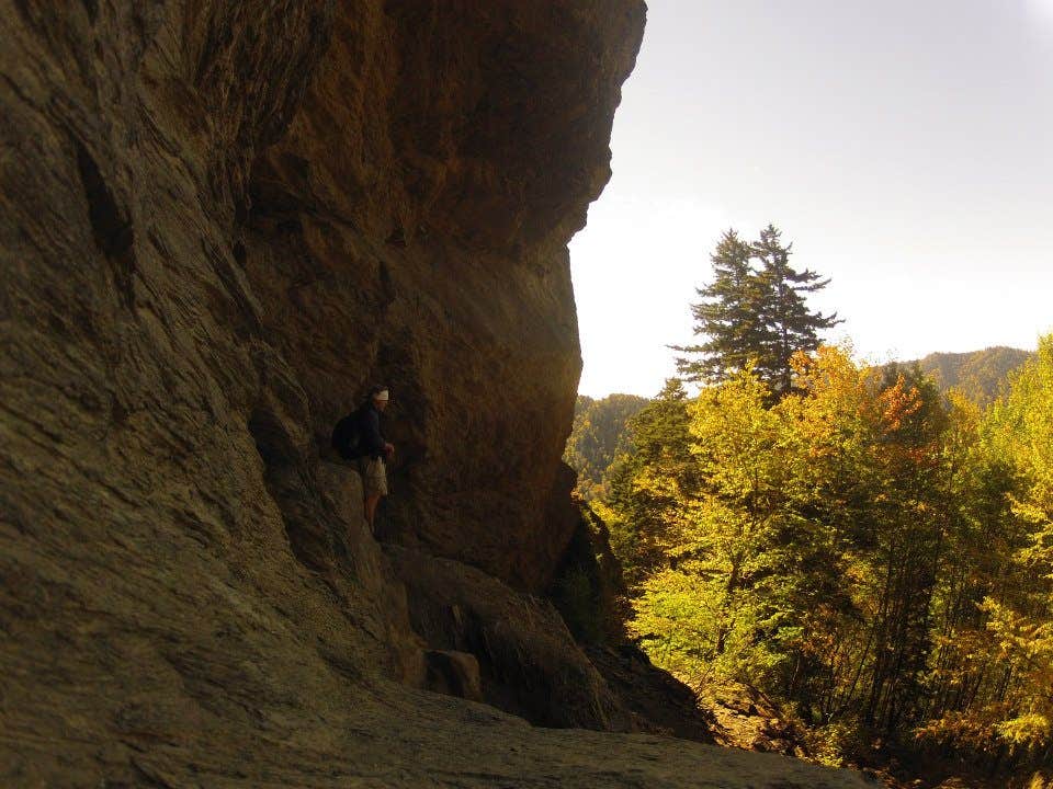 Camper submitted image from Mount LeConte Shelter — Great Smoky Mountains National Park - 2