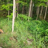 Review photo of Weather Station Campground — Sleeping Bear Dunes National Lakeshore by Jason H., June 9, 2023