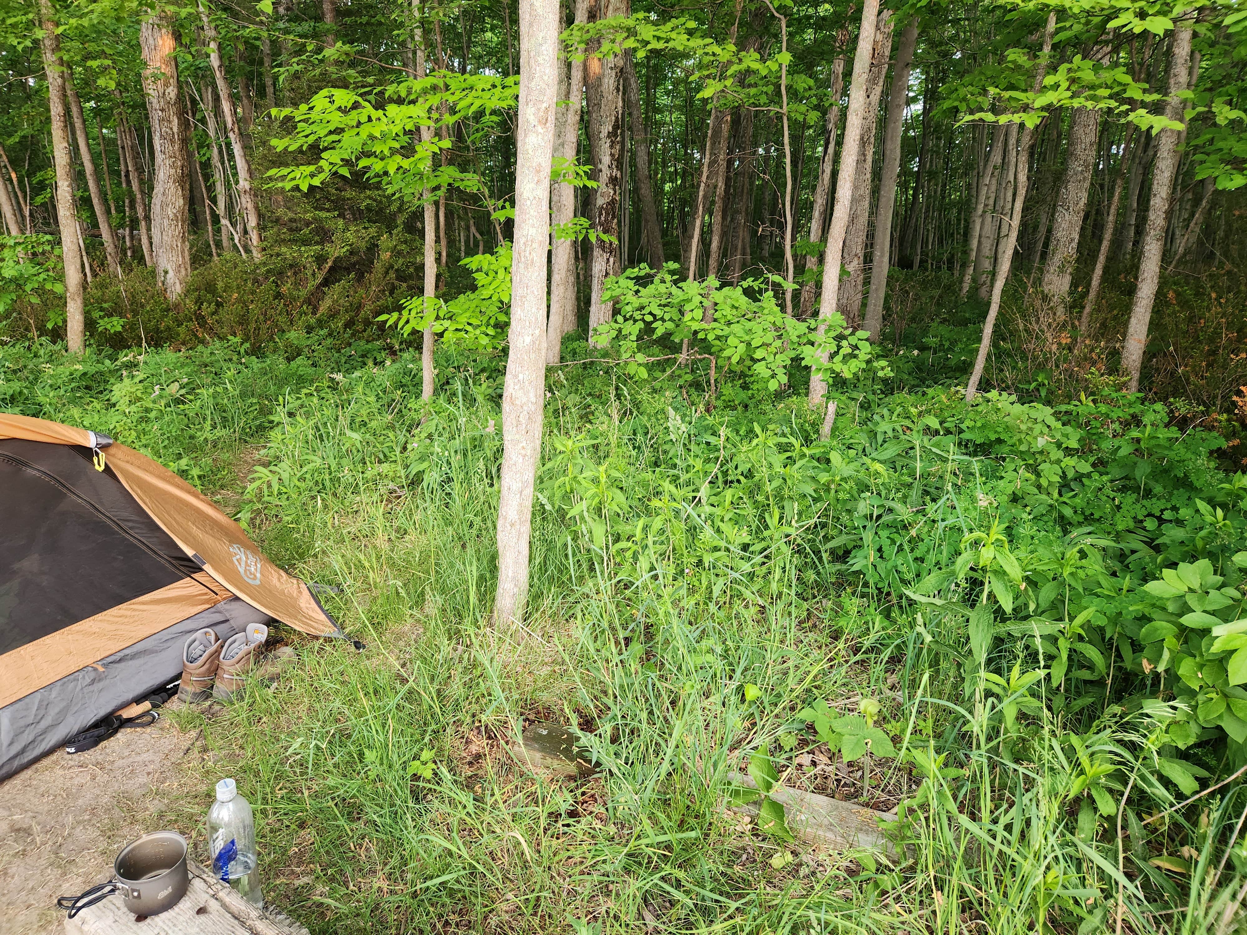 Camper submitted image from Weather Station Campground — Sleeping Bear Dunes National Lakeshore - 1