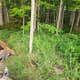 Weather Station Campground — Sleeping Bear Dunes National Lakeshore