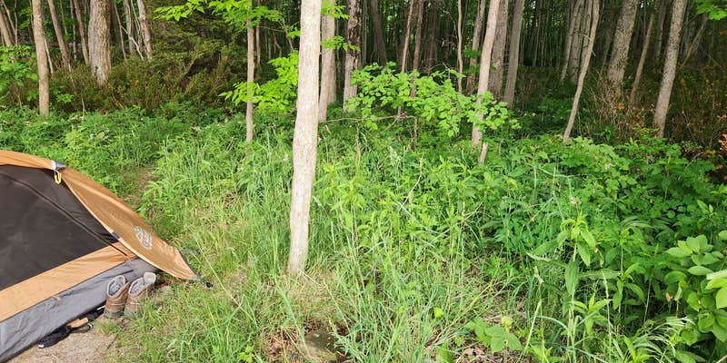 Camper submitted image from Weather Station Campground — Sleeping Bear Dunes National Lakeshore