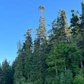 Review photo of Sequim Bay State Park Campground by Chris N., June 9, 2023