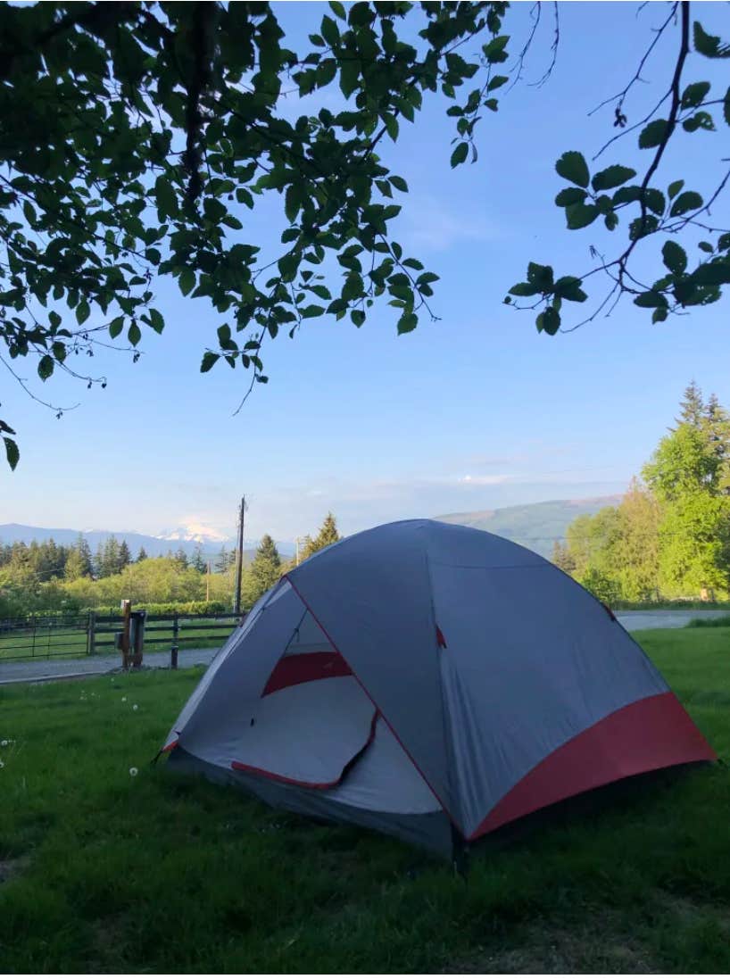 Lucia M.'s photo at Greenstone Farm Camping near Conway, WA