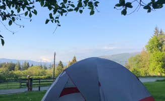 Lucia M.'s photo at Greenstone Farm Camping near Hamilton, WA