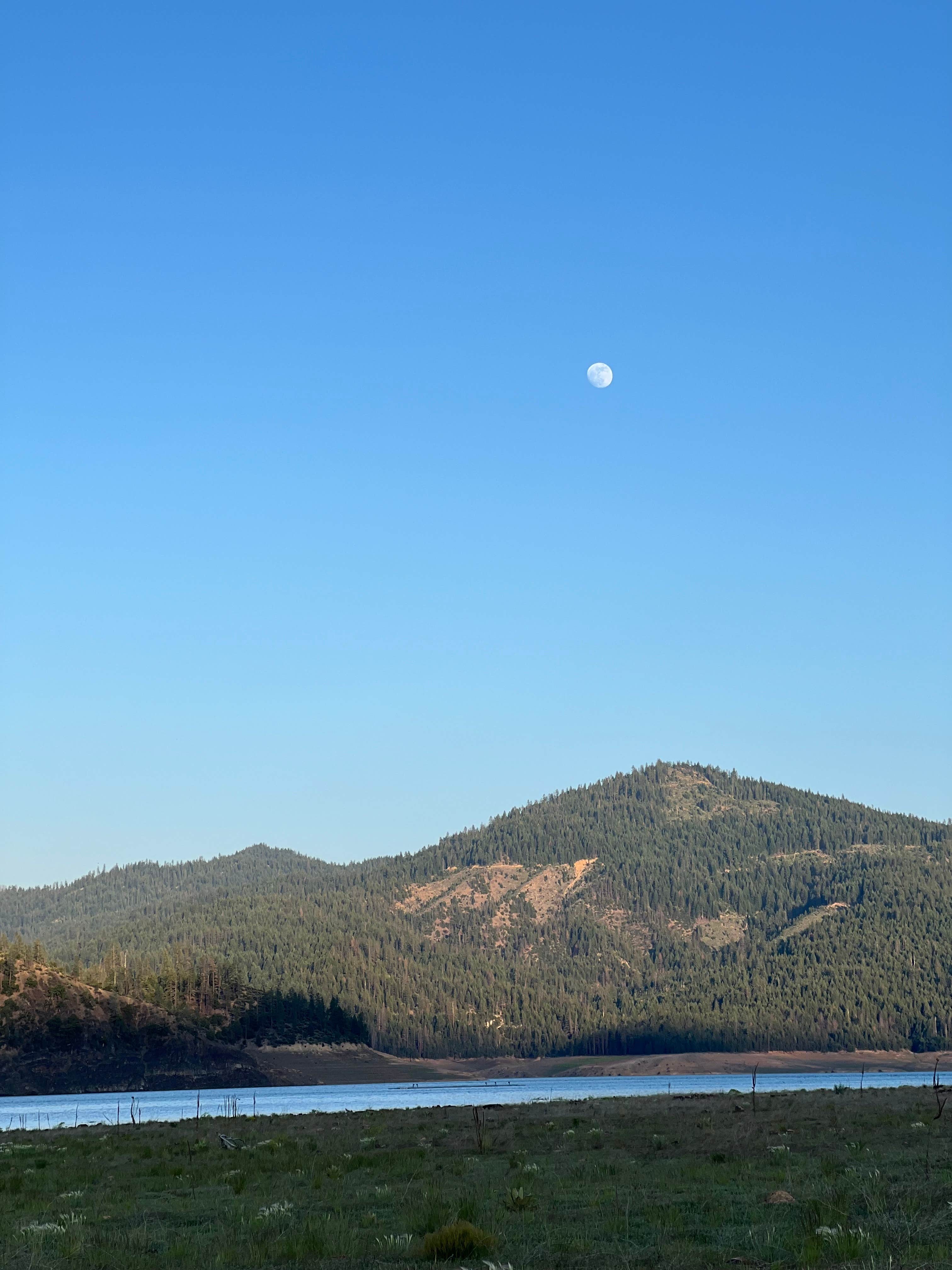 Camper-submitted photo at North Trinity Lake near Greenview, CA