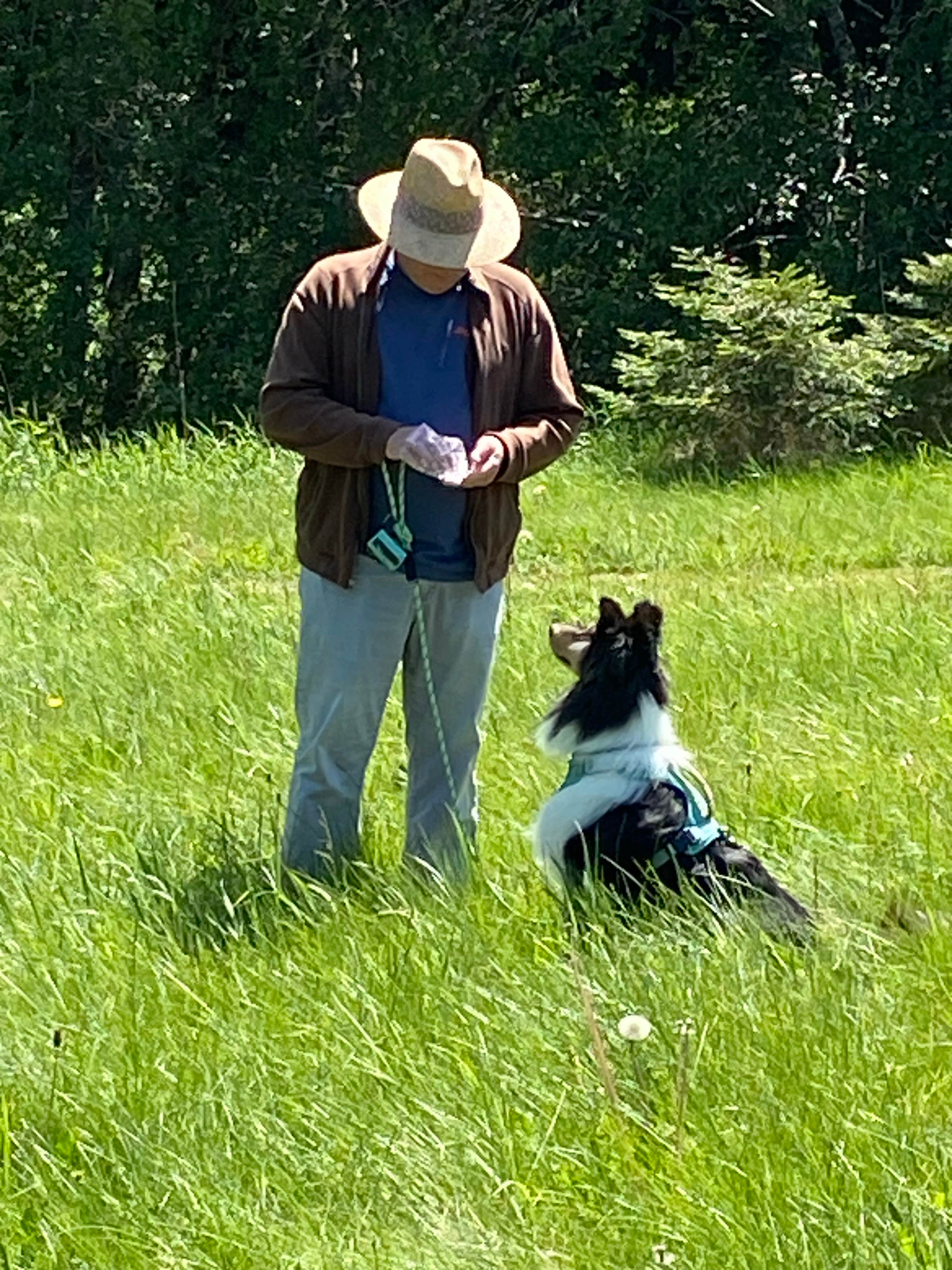 CC B.'s photo of camping with pets at Elkamp Eastcreek near Yelm, WA