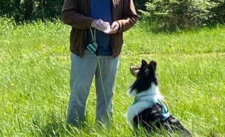 CC B.'s photo of camping with pets at Elkamp Eastcreek near Randle, WA