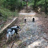 Review photo of Sprewell Bluff Park by Shelly S., October 15, 2018