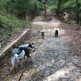 Review photo of Sprewell Bluff Park by Shelly S., October 15, 2018