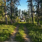 Review photo of Mount Roosevelt Road Dispersed Campsite by Molly G., June 9, 2023