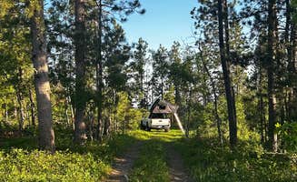 Molly G.'s photo of a dispersed camping area at Mount Roosevelt Road Dispersed Campsite in South Dakota