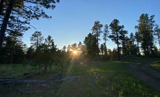 Molly G.'s photo of a dispersed camping area at RD 356 Dispersed Site Black Hills National Forest in South Dakota