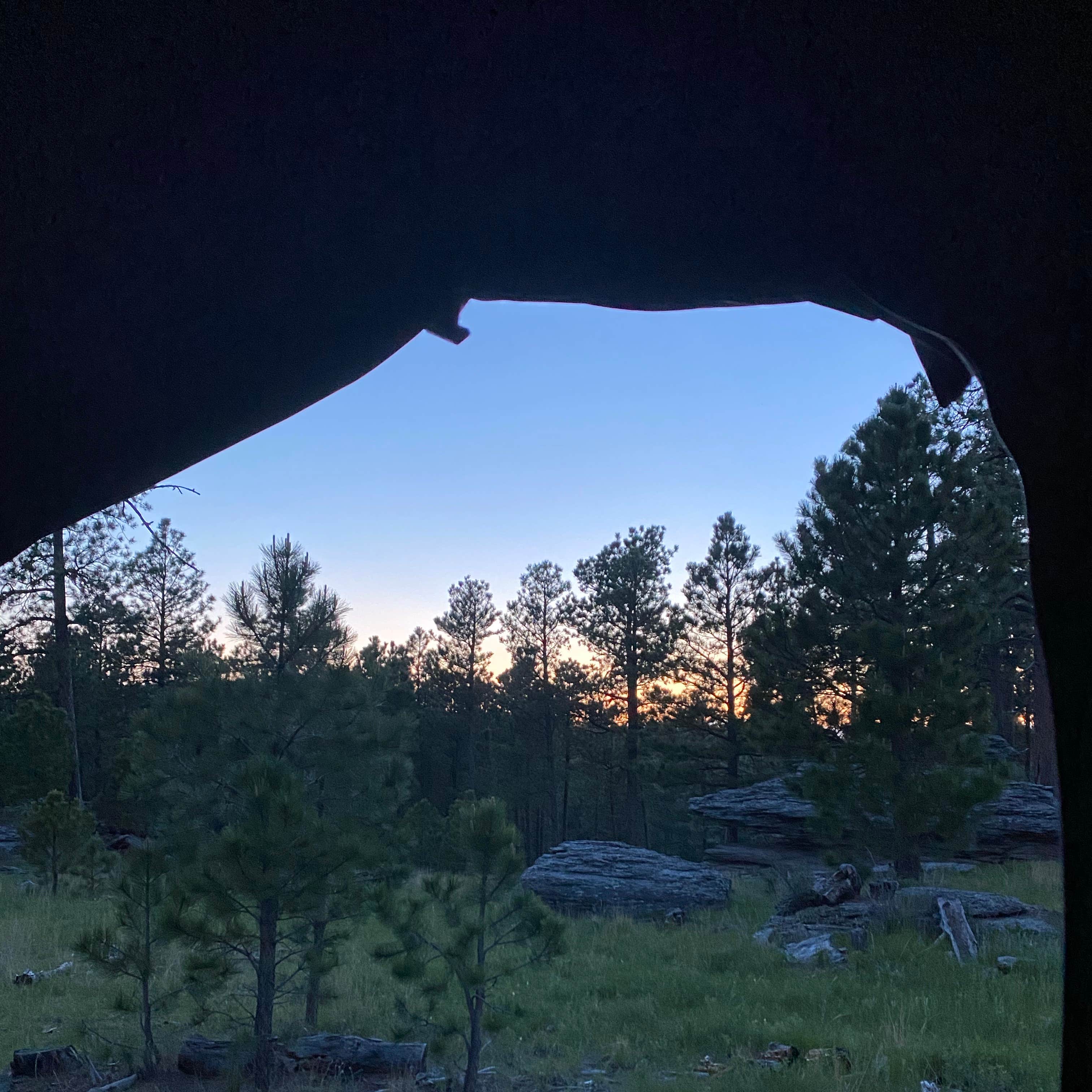 RD 356 Dispersed Site Black Hills National Forest Camping | The Dyrt