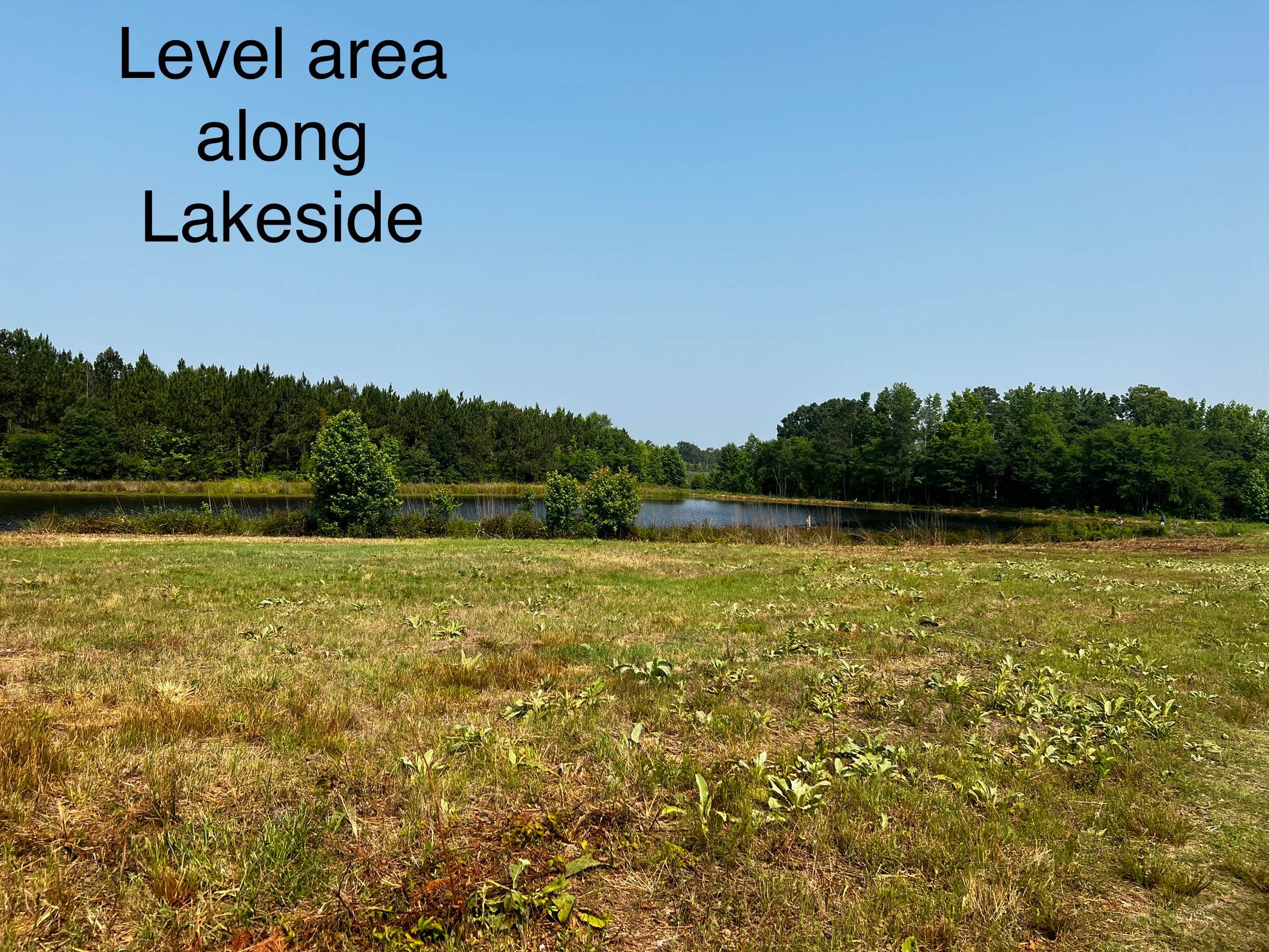 Camper-submitted photo at Haywood Hollow Camper Parking near Rockingham, NC