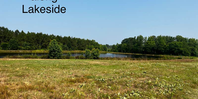 Camper submitted image from Haywood Hollow Camper Parking