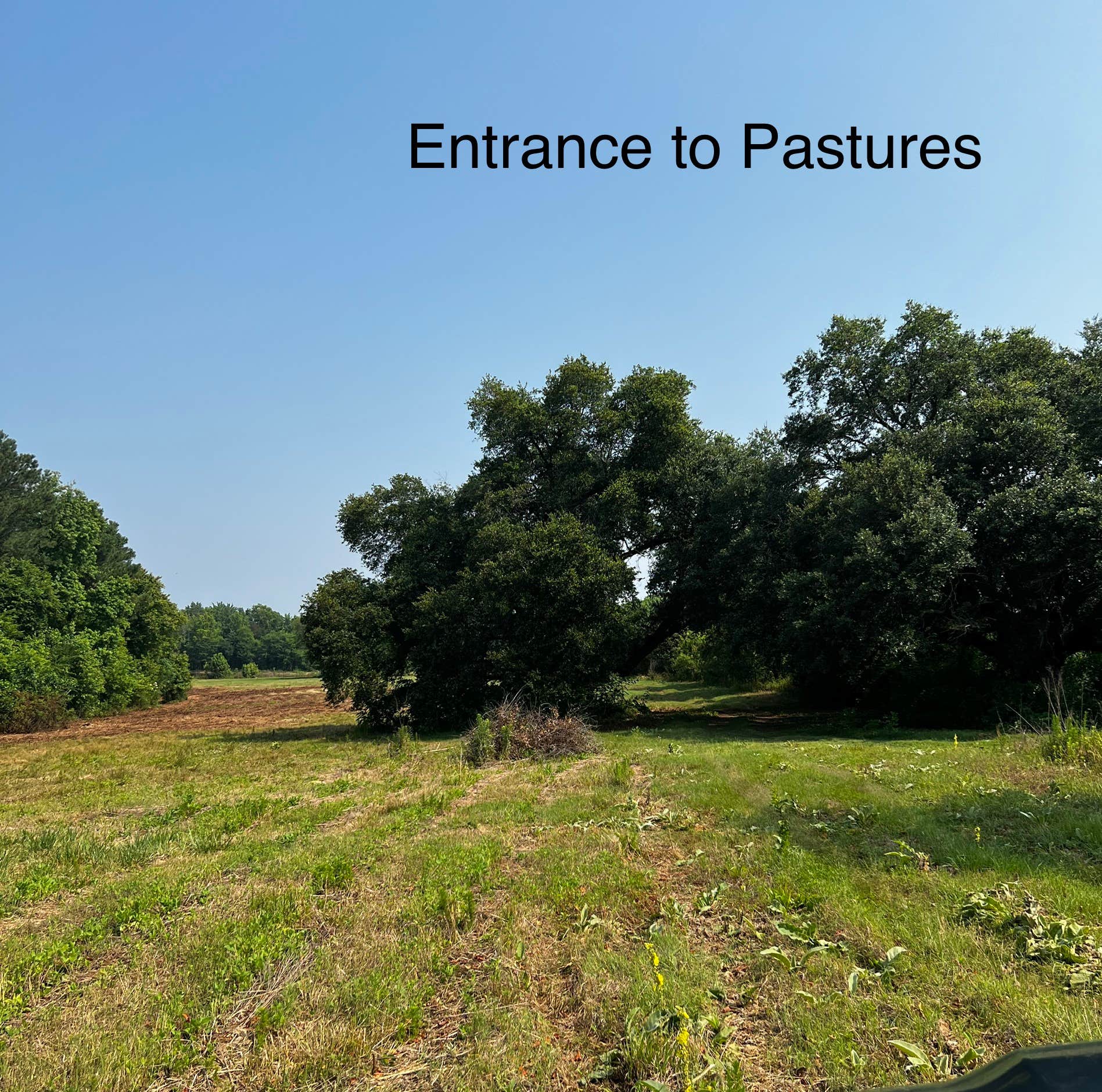Camper-submitted photo at Haywood Hollow Camper Parking near Rockingham, NC