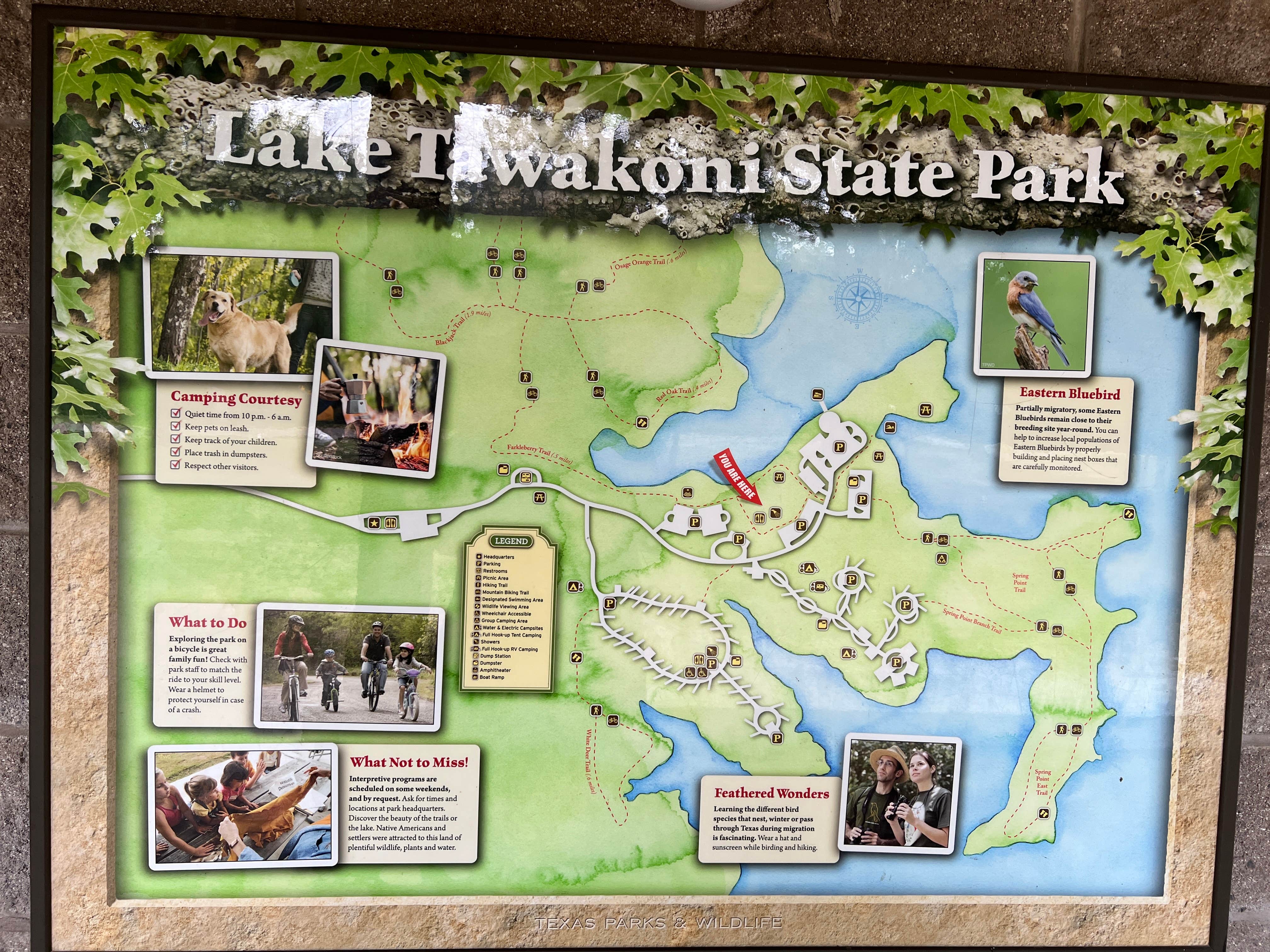 Napunani's photo of camping with pets at Lake Tawakoni State Park Campground near Lindale, TX